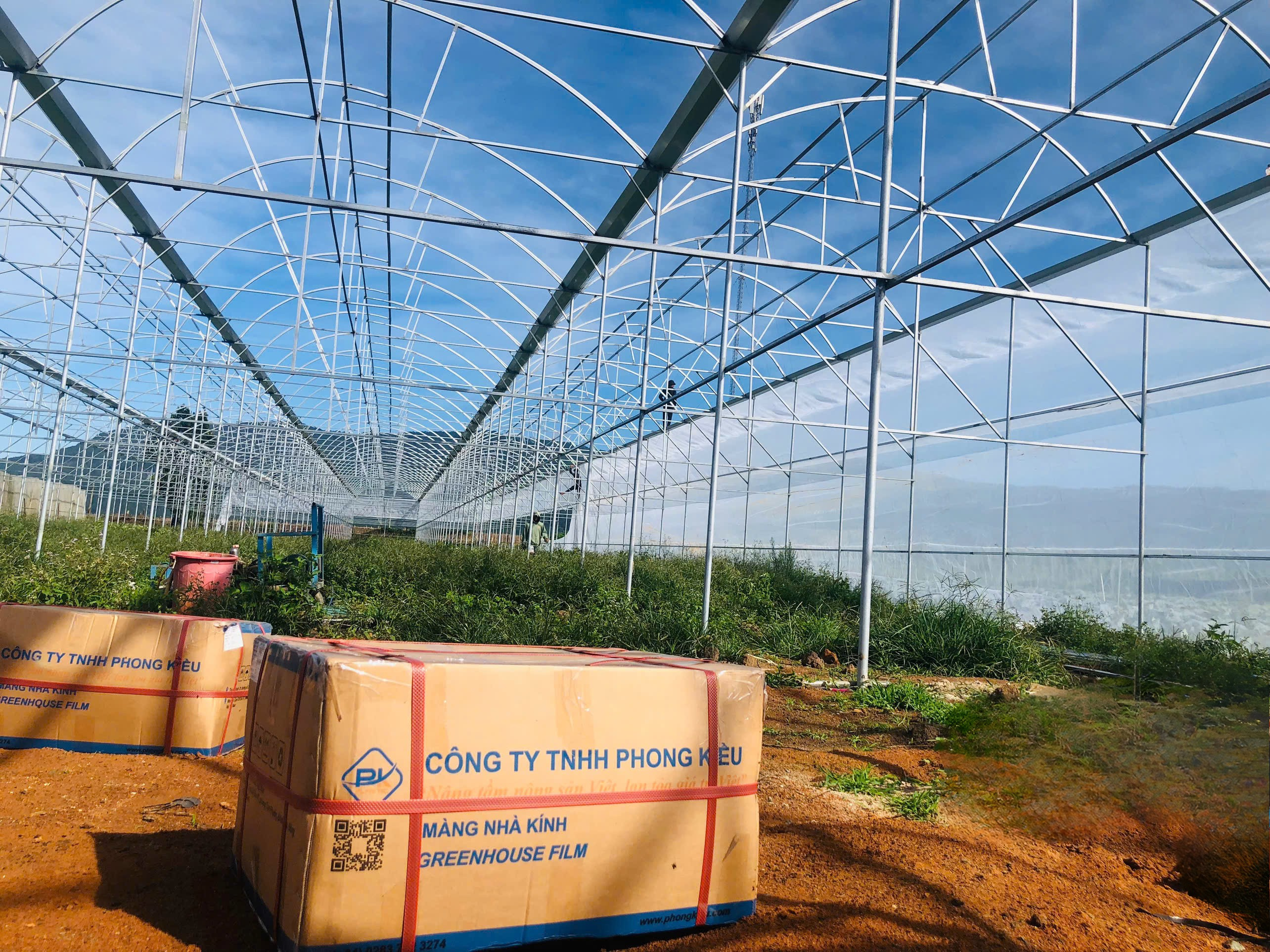 Màng Nhà Kính